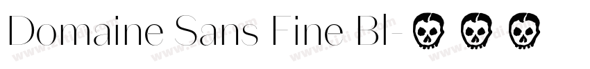 Domaine Sans Fine Bl字体转换